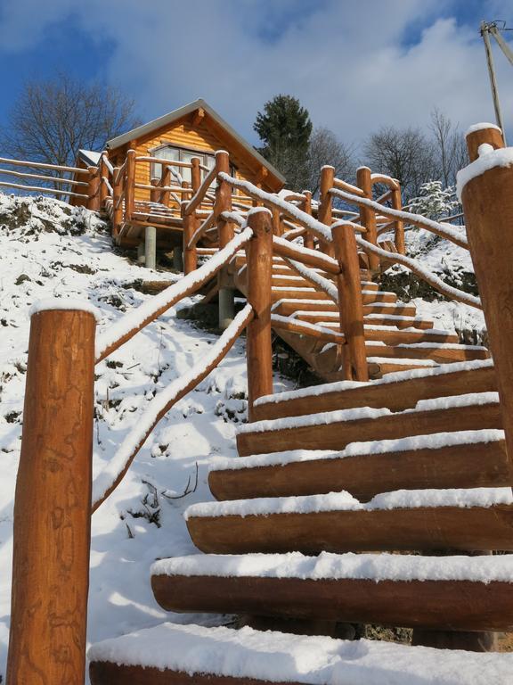 Cottage Goyra ヤレムチャ エクステリア 写真