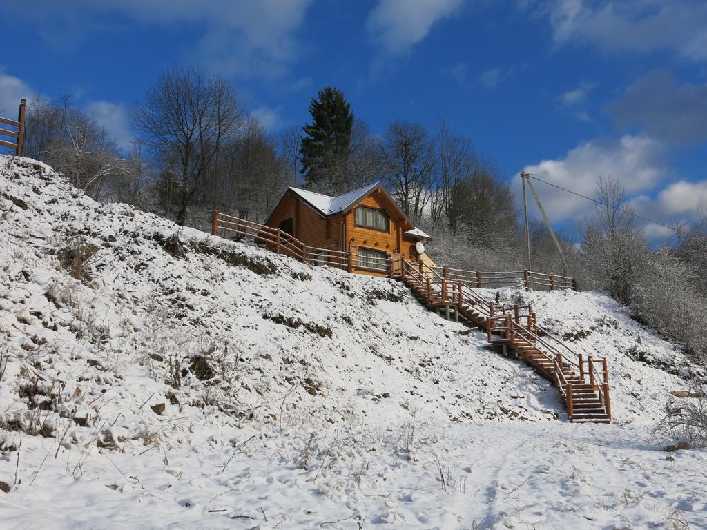 Cottage Goyra ヤレムチャ エクステリア 写真